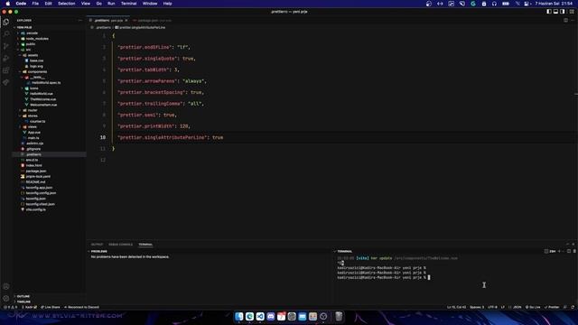 Vue Projesi Oluşturmanın Yeni Yolu смотреть онлайн