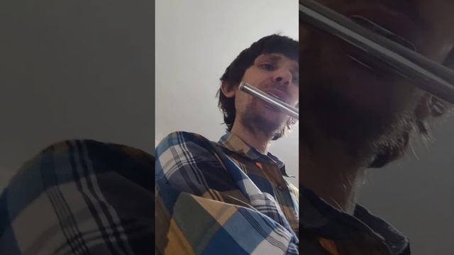 Поперечная флейта Pearl смотреть онлайн