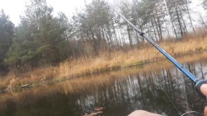 Ловля окуня на спиннинг осенью, ловля окуня поздней осенью на микроджиг, джиг