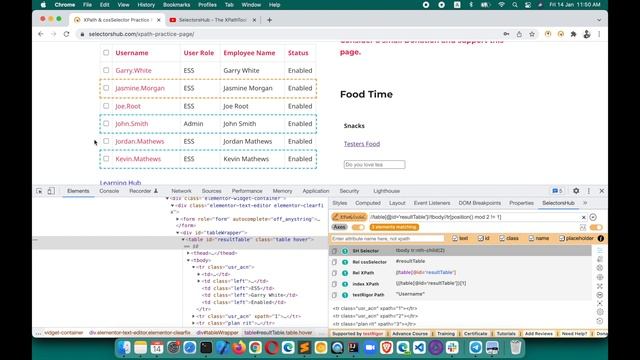 How to write xpath to get the odd rows or even rows of the web table | XPath for tables