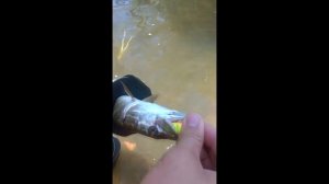 Ловля щуки на попер летом в июне