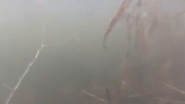 голаненские ямы Судогодский р н mpeg4 смотреть онлайн