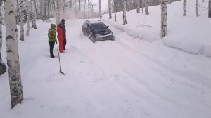 калдина в снегу