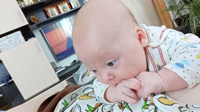 медведь
