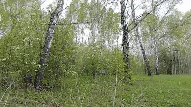 Продажа земельного участка в городе Новосибирске и Новосибирской области смотреть онлайн