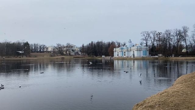 #питер #царскоесело