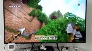 Minecraft!!!