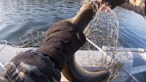 Закрытие сезона жидкой воды 2021 на реке Томь