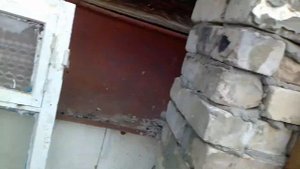 Зимняя теплица своими руками  Вегетарий, часть 2