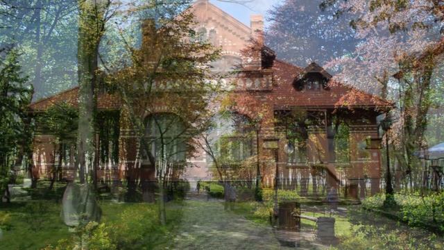 янтарный калининградская область где находится янтарный берег