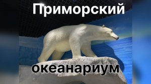 Приморский океанариум. Побывали в сказке подводных глубин. 8 июня 2024 г.