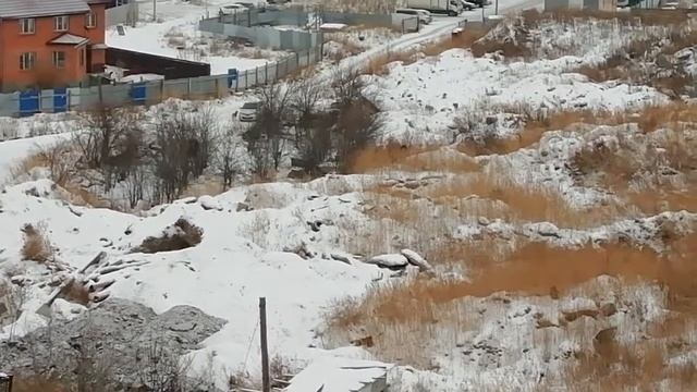 Дог-опекунша Ба-Лида - кормление бродячих псов - утепление  будок - 2018-11-20 - 14.00 смотреть онлайн