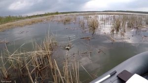 Самоизолировался на тайном озере. Огромные караси на поплавок . Отчет 01.05.2020г.