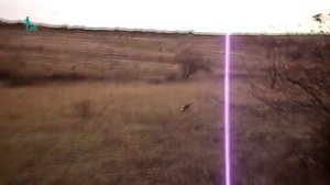 Голоса гончих!