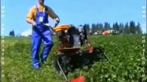 Работа мотоблока Каскад с роторной косилкой