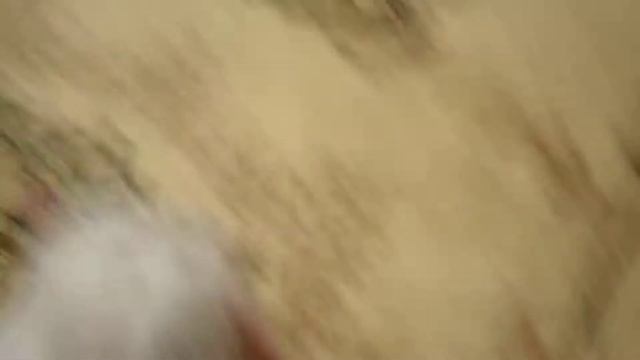 МАЛЬЧИК МАЛЬТЕЗЕ Д.Р 04.01.2014 ПРОДАЕТСЯ смотреть онлайн