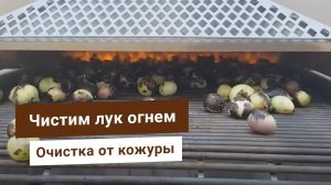 Огненная лукочистка от Bigtem – промышленная чистка лука огнем. Машина для чистки баклажан от кожуры