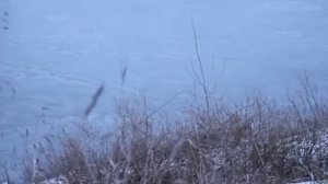 Татьяна Петрова «В минуты музыки печальной» сл. Н. Рубцов, муз. А. Висков