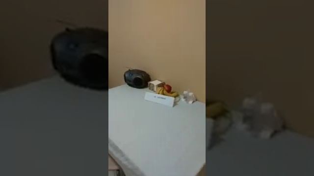 Россия, Краснодар, Черкасская улица,