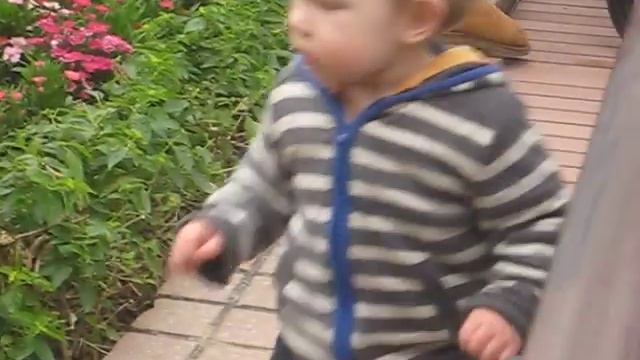 Вова в Гонконгском зоопарке 4 смотреть онлайн