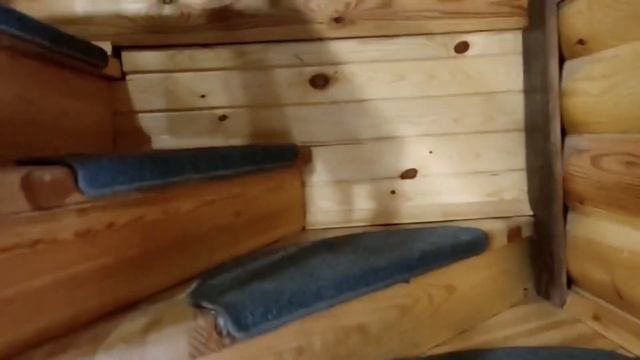 Домик и номер в парке-отеле «Манжерок». Горный Алтай