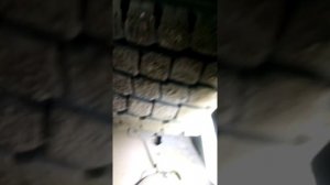 d15b регулировка клапанов.