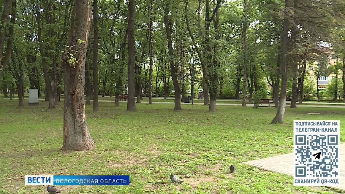 Завершён очередной этап благоустройства парка Ветеранов в Вологде