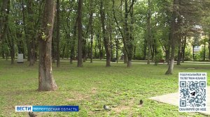 Завершён очередной этап благоустройства парка Ветеранов в Вологде
