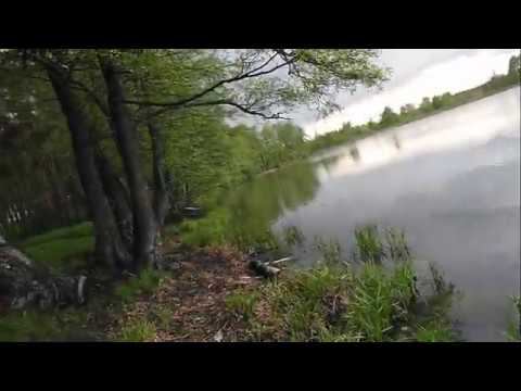 Озеро Островное (Срамное) в Белоозерском
