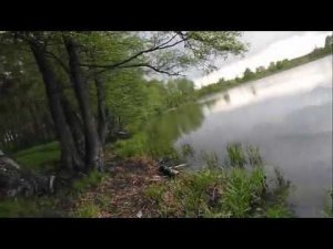 Озеро Островное (Срамное) в Белоозерском