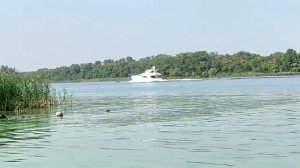 Бедная Саша 1 - 16 серии | Чем закончился сериал?