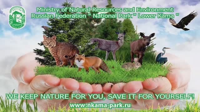 National park "Nizhnyaya Kama"