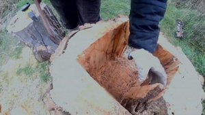 WOW!!!MAGIC TREE WITH ILLUMINATION..КАК СДЕЛАТЬ СВЕТЯЩИЙСЯ ЗЕРКАЛЬНЫЙ ПЕНЬ..