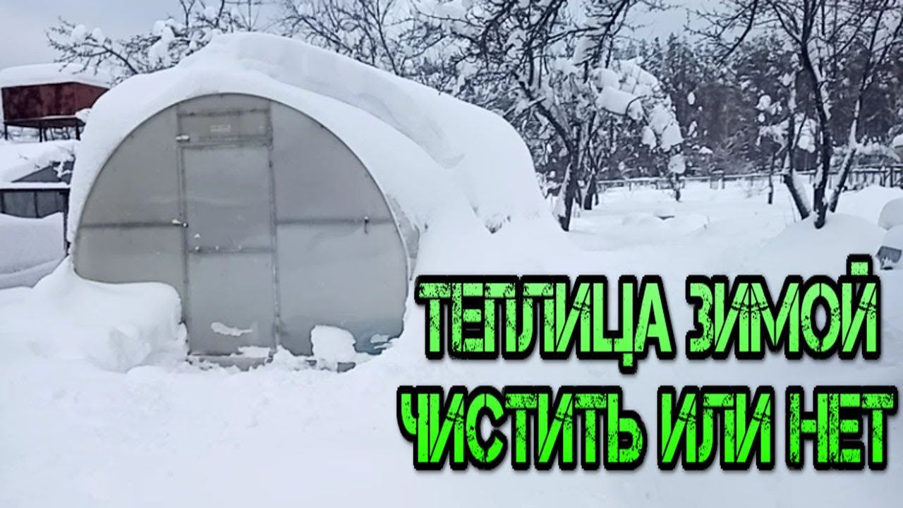 ТЕПЛИЦА ЗИМОЙ ЧИСТИТЬ ИЛИ НЕТ-SHOULD THE GREENHOUSE BE CLEANED IN WINTER OR NOT