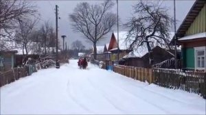 Лошадь, сани, деревня