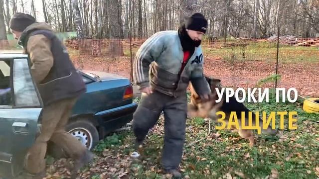 Гостиница Дон-Бреме