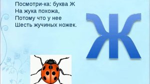 звук и буква Ж