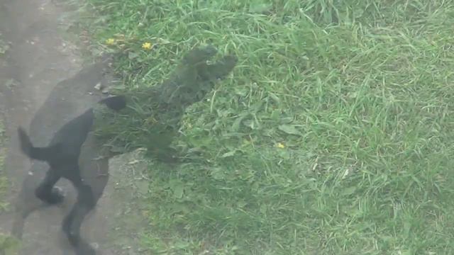 AbanD_Death on the road_2011 смотреть онлайн