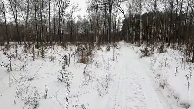 Охота зимой смотреть онлайн