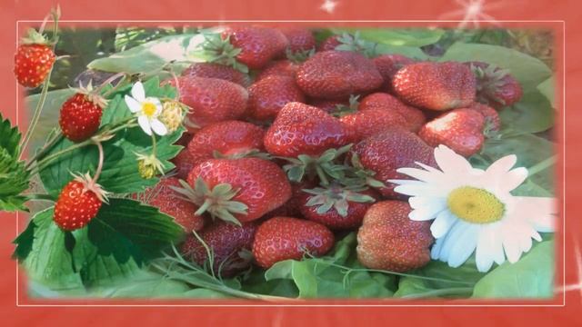 Футажи для творчества.  Летние  футажи HD Клубничное настроение