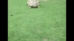 ПЕСЕНКА О ДРУЖБЕ