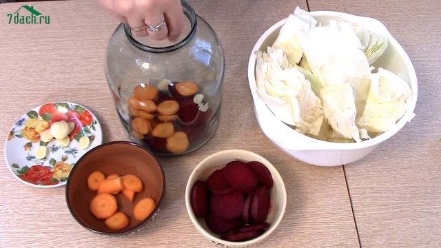 Капуста ПЕЛЮСТКА - быстрая маринованная капуста - 7 дач