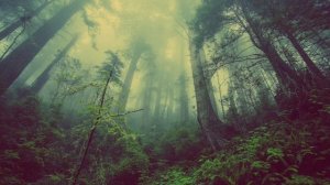 Музыка для родов