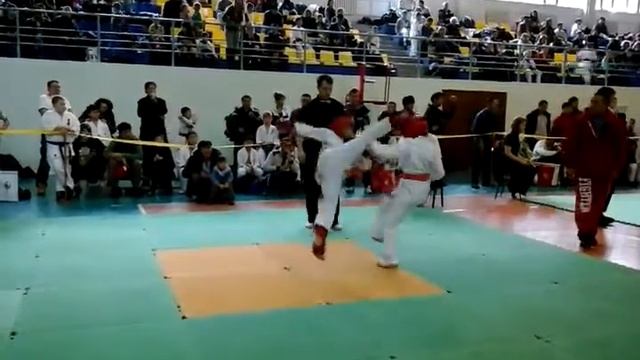 каратэ шинкиокушинкай