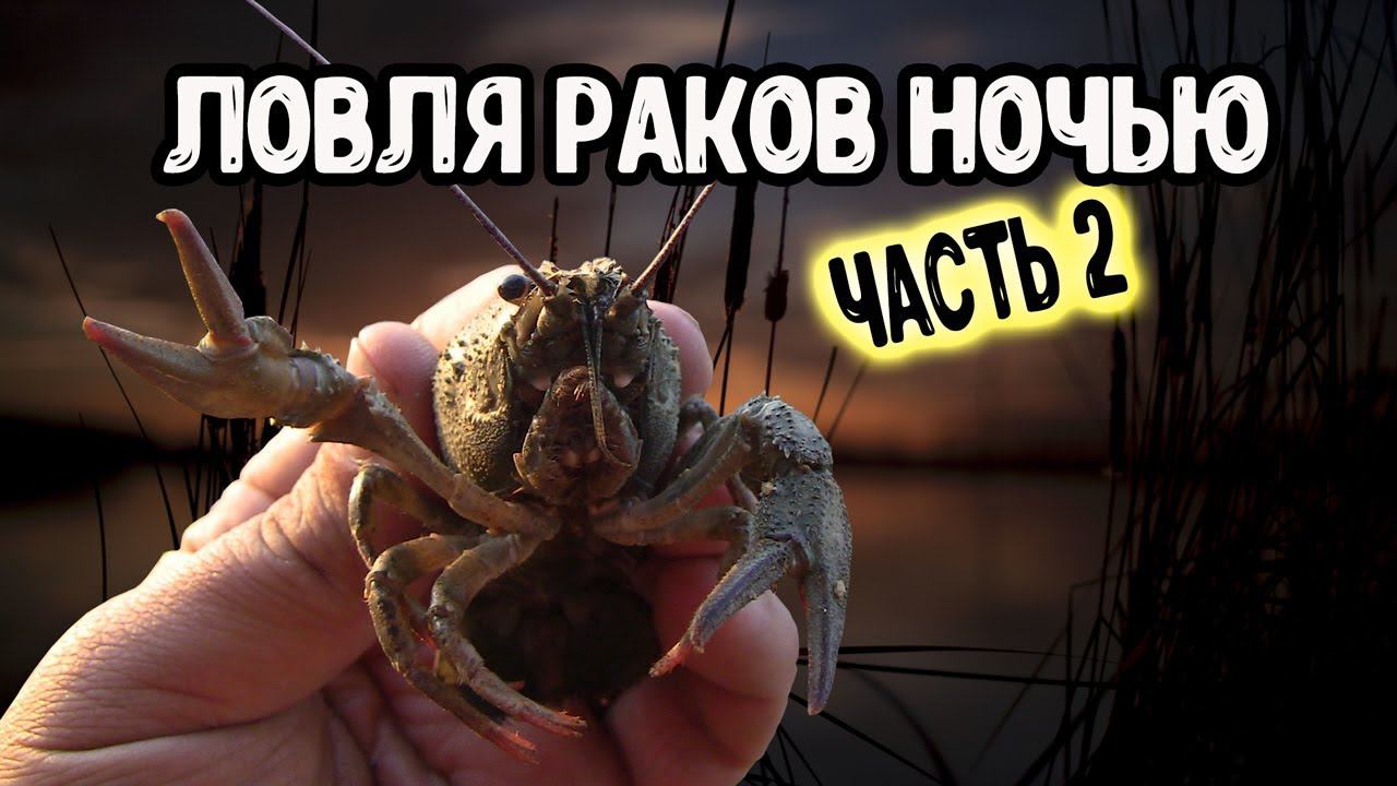 Ночная ловля раков на сачок.