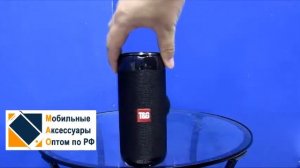Колонка TG-113C