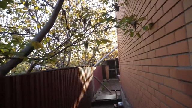 VLOG Спасаю реборна смотреть онлайн