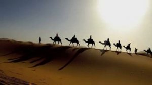 Вот идёт караван