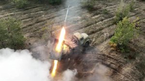 Минобороны РФ: на донецком направлении уничтожено более 480 боевиков ВСУ