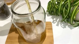 КАМБУЧА / чайный гриб /как вырастить   чайный гриб.